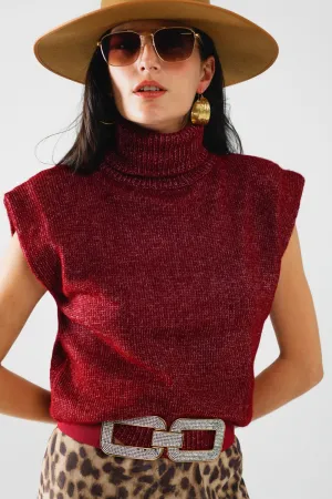 Cozy Turtleneck Sweater in Burgundy