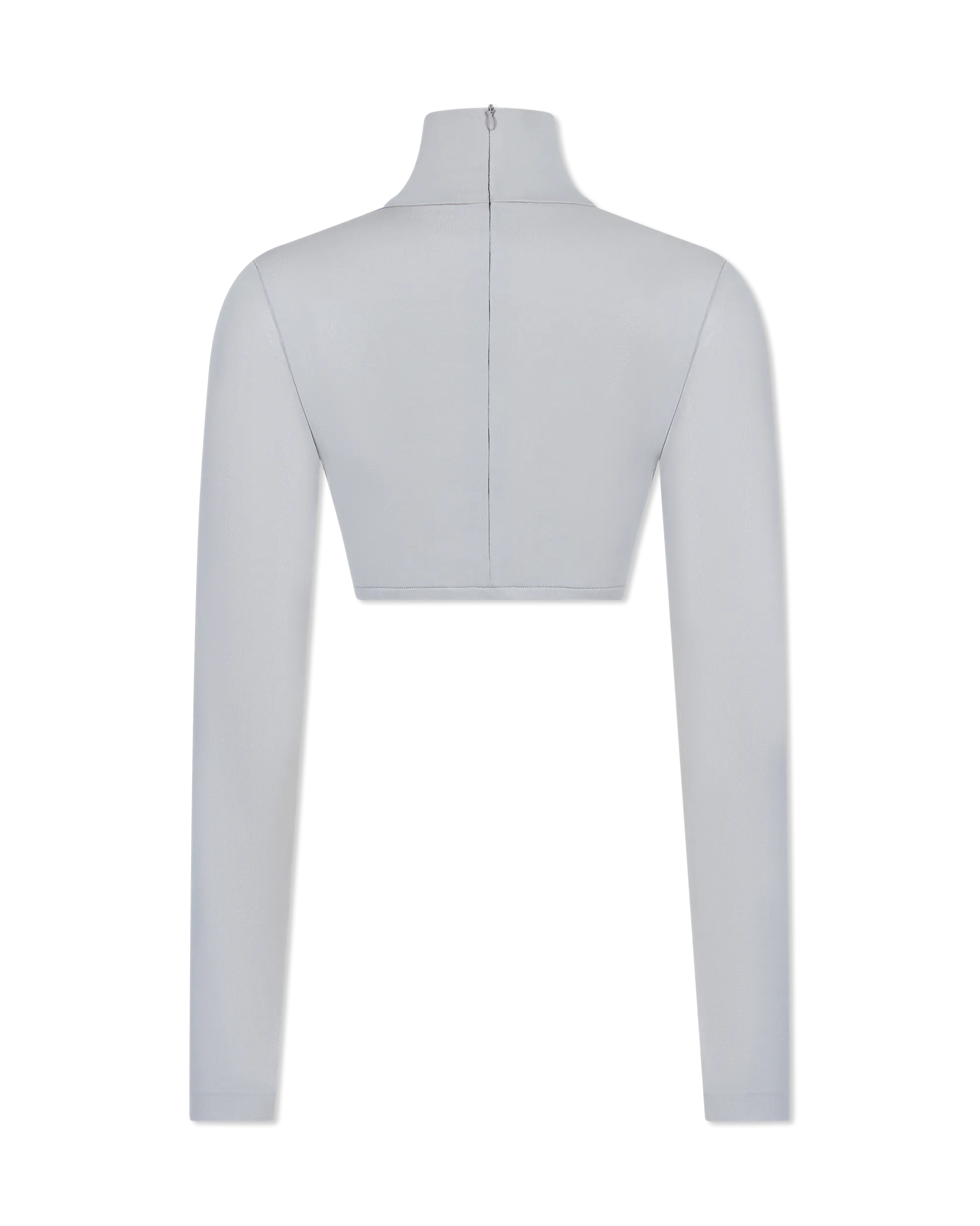 Cropped Long Sleeve Turtle Top