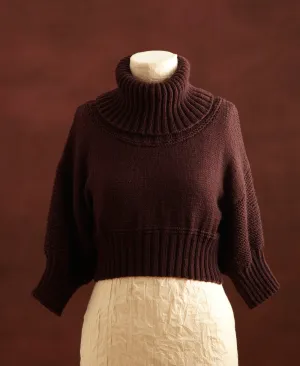 Cropped Turtleneck Pattern (Knit)